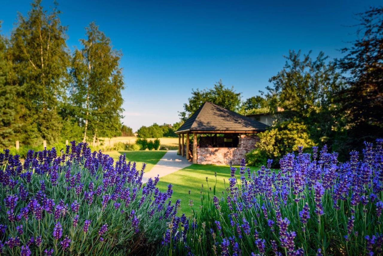 Villa Natura Zator Przeciszow Eksteriør bilde